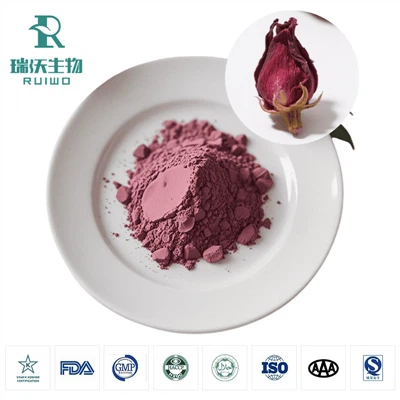Bột chiết xuất hoa hồng