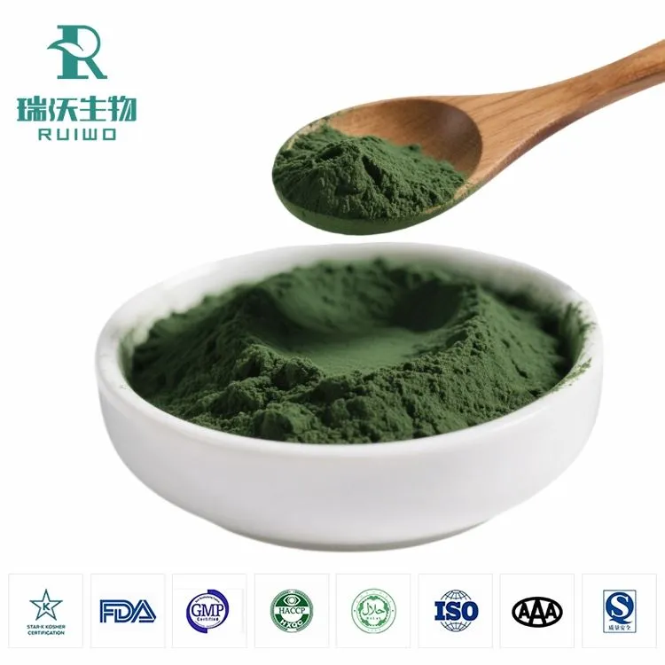 Bột Spirulina số lượng lớn